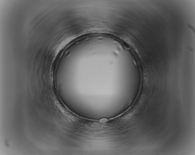 X0000100880981200807111338