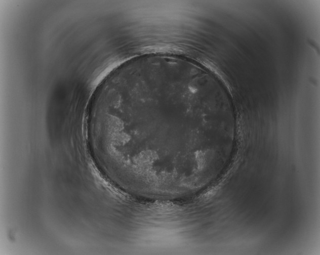 X0000100880983200807111338