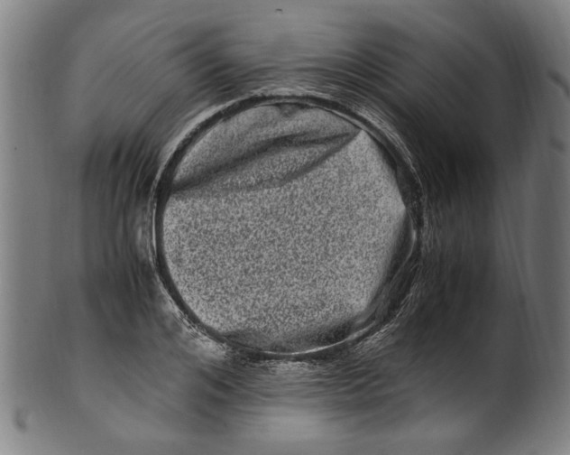 X0000100880984200807111337