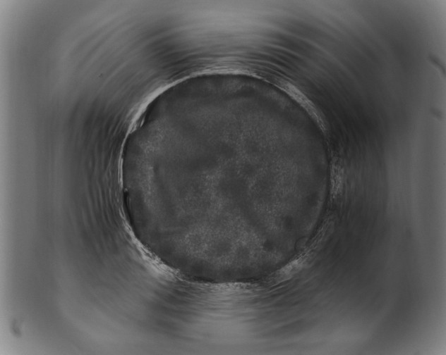 X0000100880988200807111337