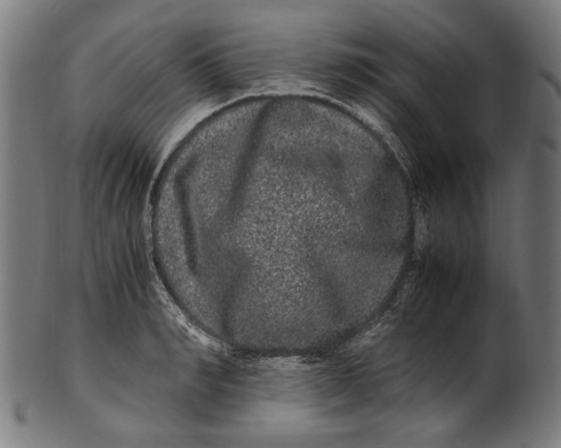 X0000100880990200807111337