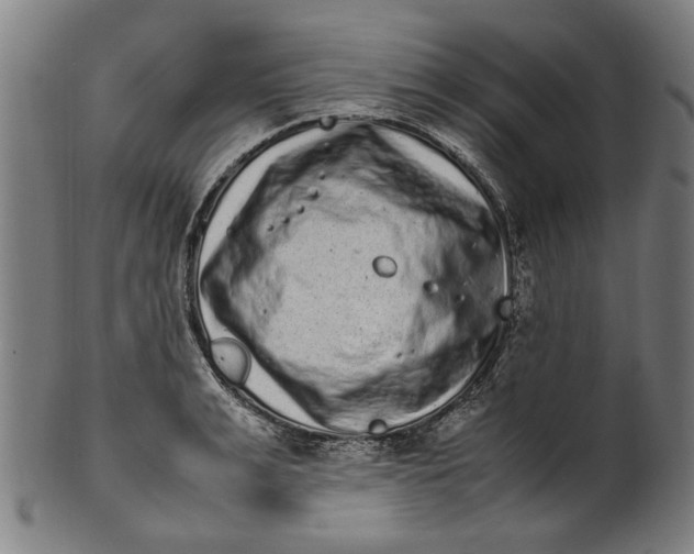 X0000100880991200807111337