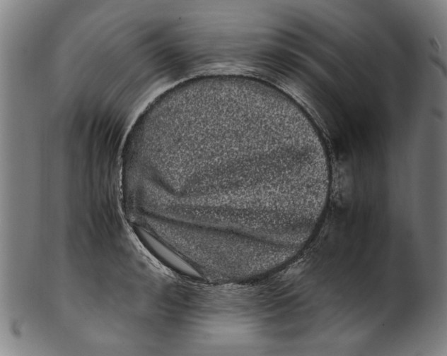 X0000100880992200807111337