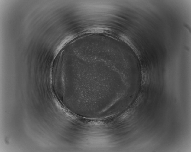 X0000100880994200807111337