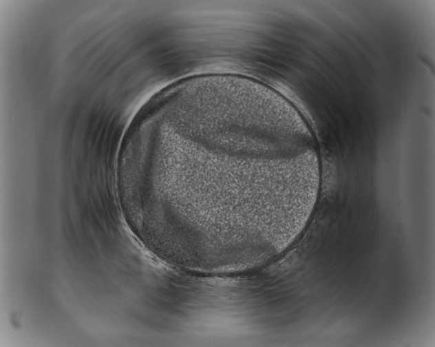 X0000100880996200807111337