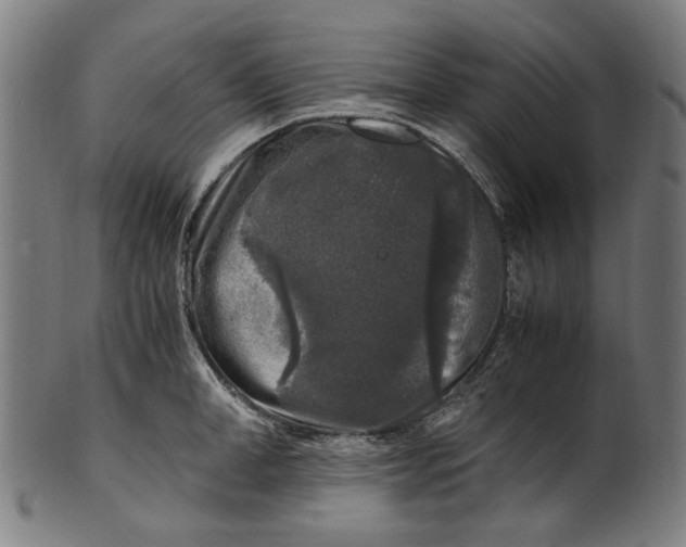 X0000100880998200807111337