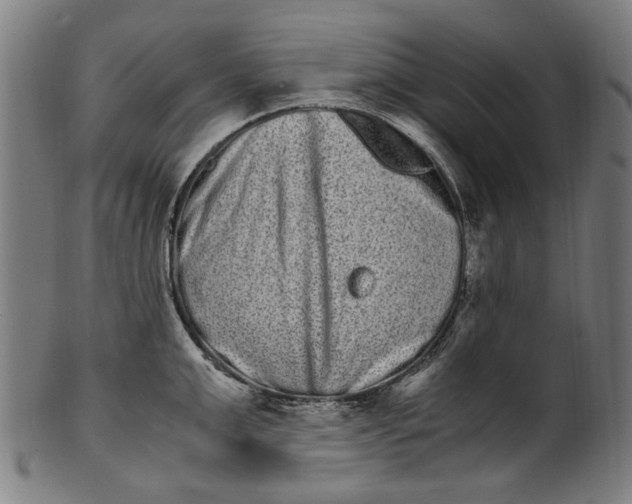 X0000100880999200807111337