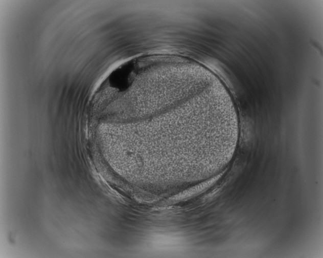 X0000100881000200807111337