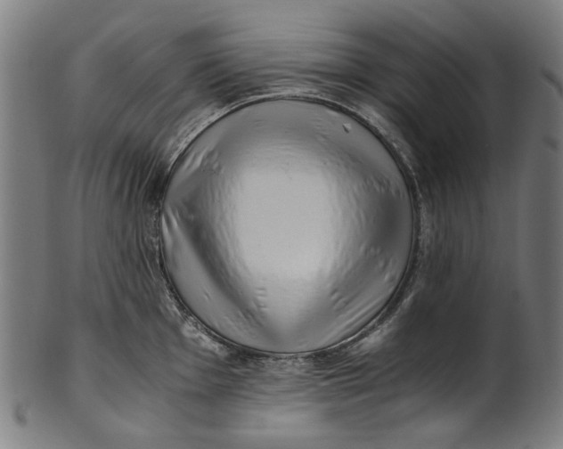 X0000100881001200807111337