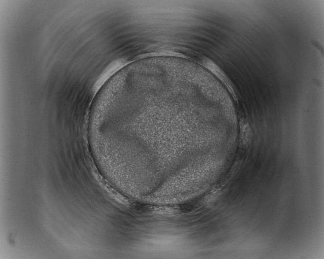 X0000100881002200807111337