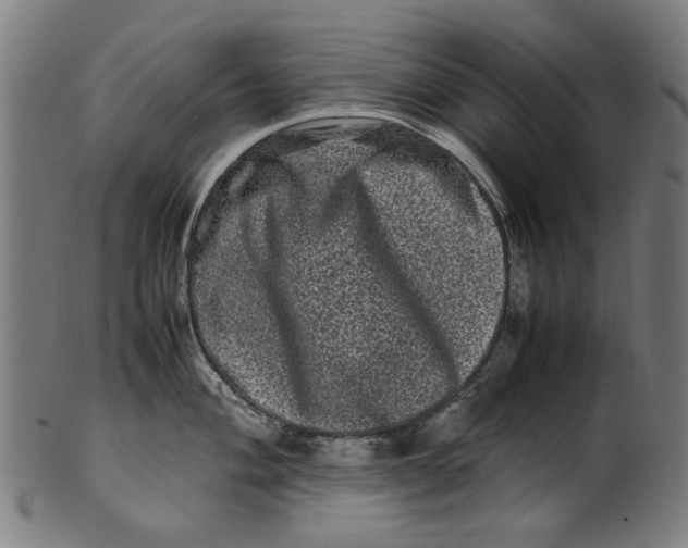 X0000100881004200807111337