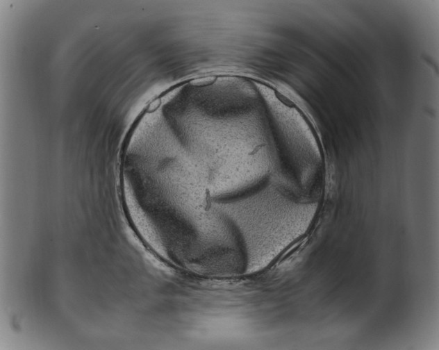 X0000100881005200807111337