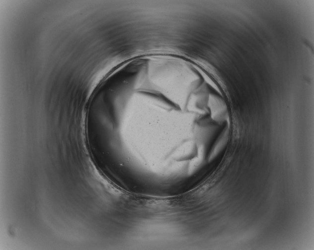 X0000100881006200807111337