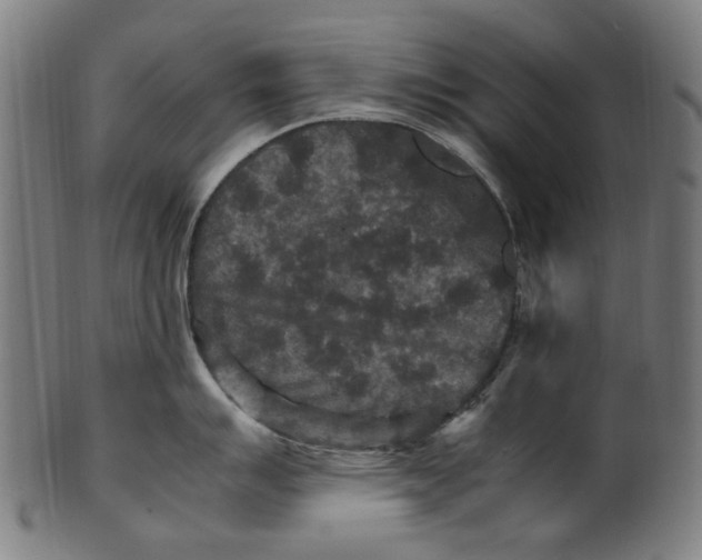 X0000100881007200807111337