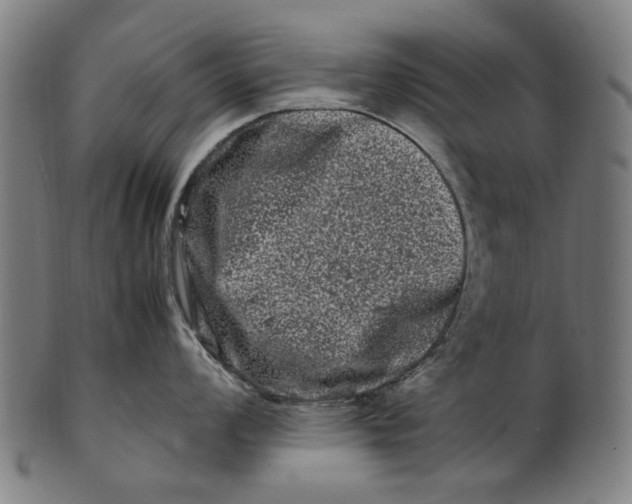 X0000100881008200807111337