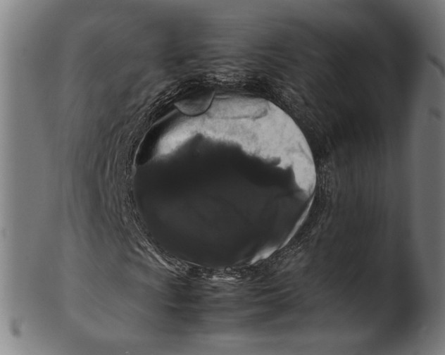 X0000100881009200807111336