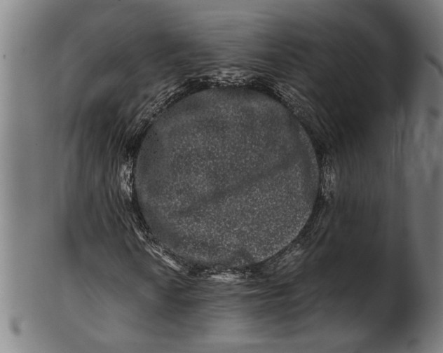 X0000100881010200807111336