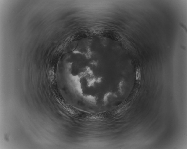 X0000100881011200807111336