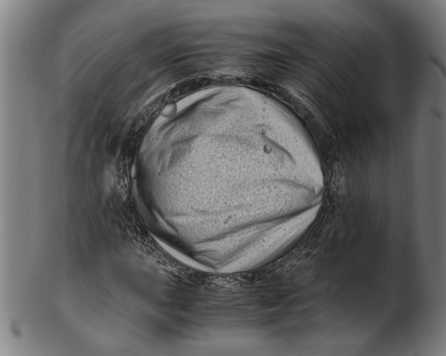 X0000100881015200807111336