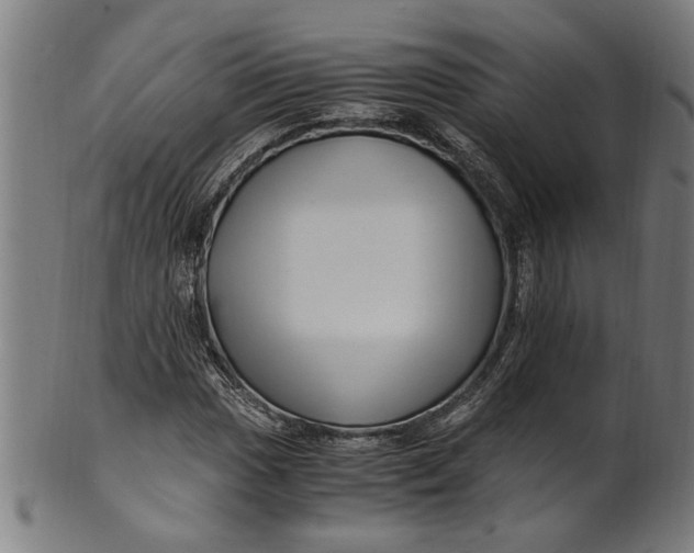 X0000100881017200807111336