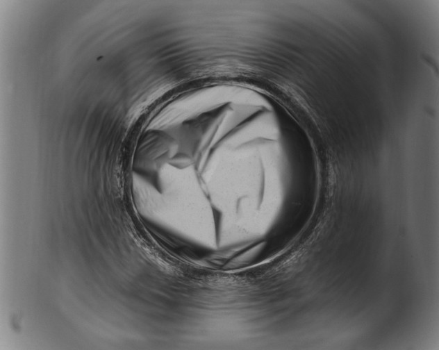 X0000100881018200807111336