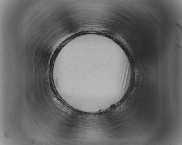 X0000100881020200807111336