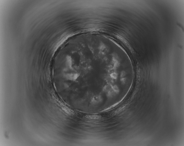 X0000100881023200807111337