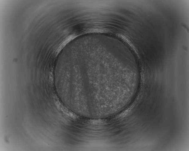 X0000100881025200807111337