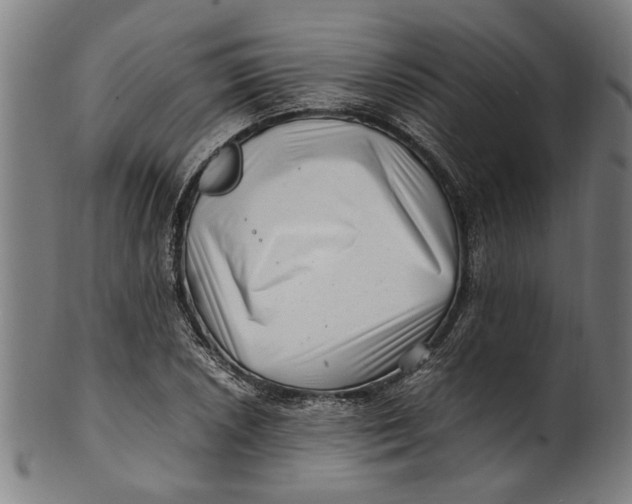 X0000100881026200807111337