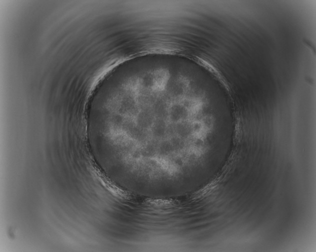 X0000100881027200807111337