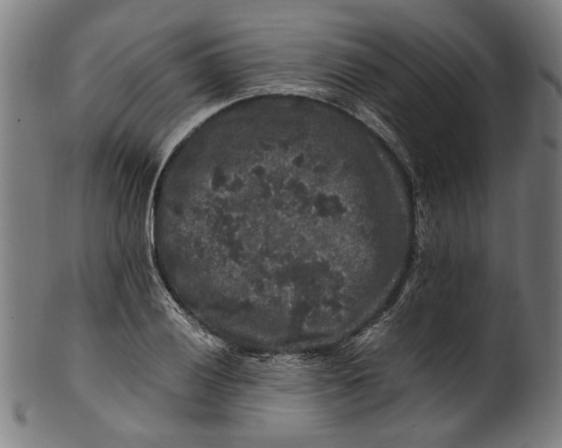 X0000100881028200807111337