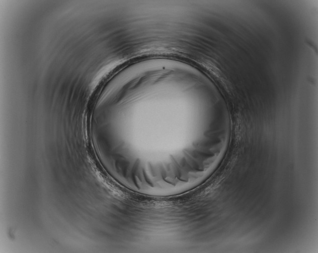 X0000100881030200807111337