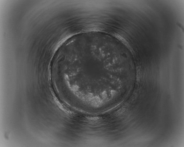 X0000100881031200807111337