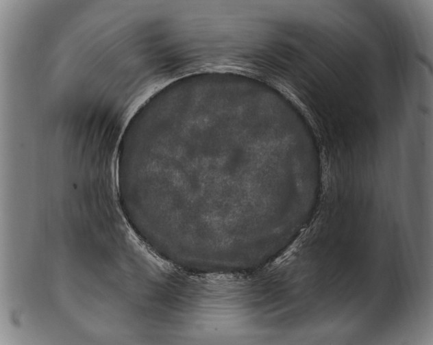 X0000100881032200807111337