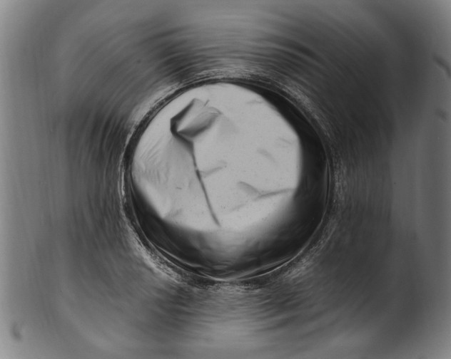 X0000100881034200807111337