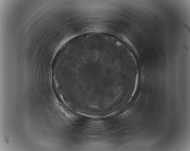 X0000100881035200807111337