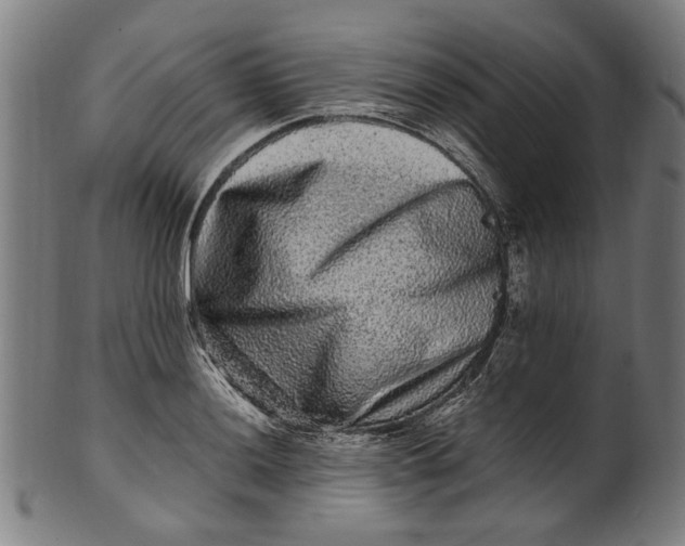 X0000100881036200807111337