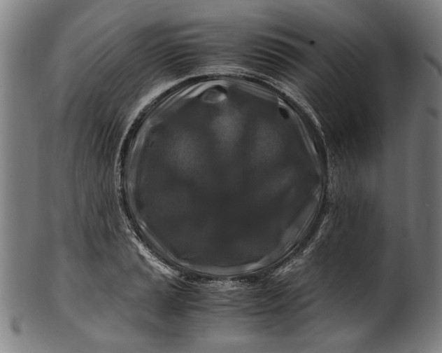 X0000100881037200807111337