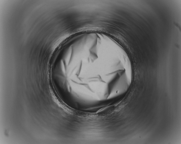 X0000100881038200807111337