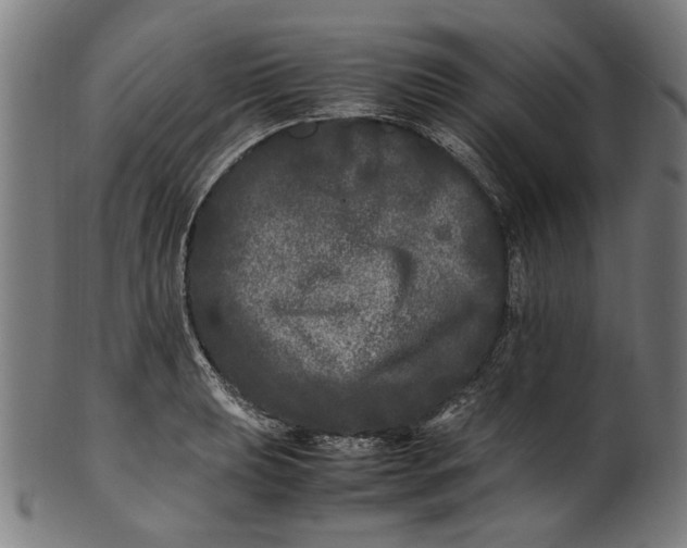 X0000100881039200807111337