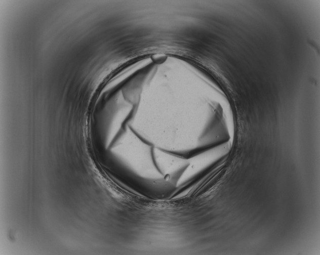 X0000100881040200807111337