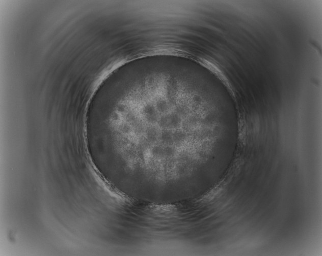 X0000100881043200807111337