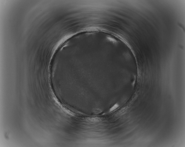 X0000100881045200807111337