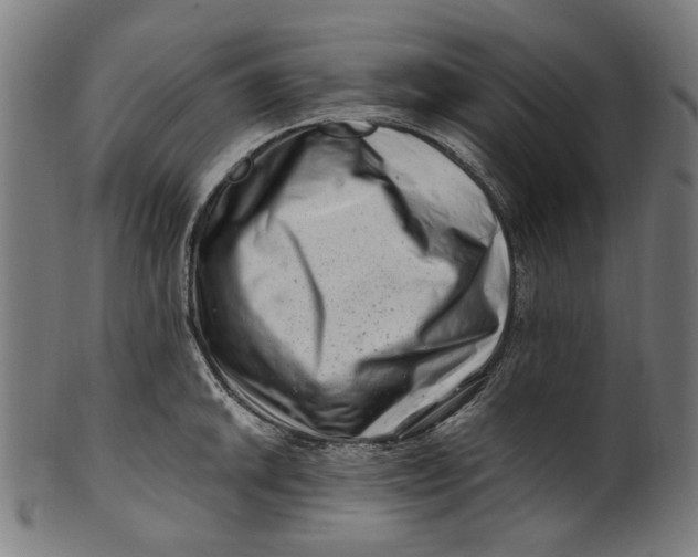 X0000100881046200807111337