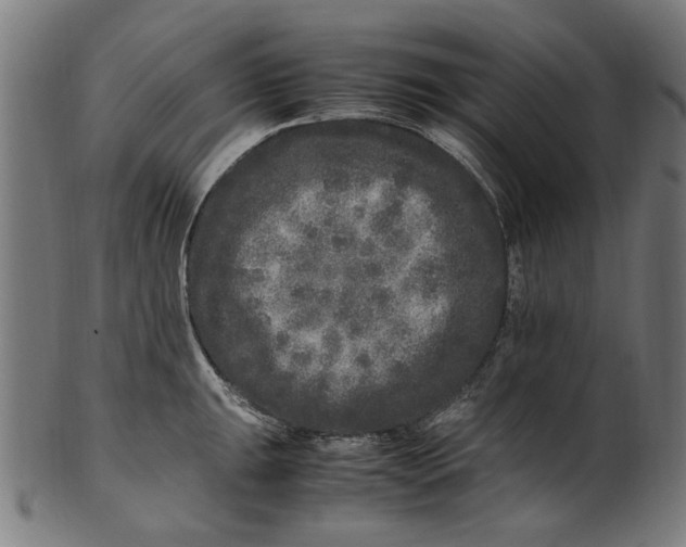 X0000100881047200807111337