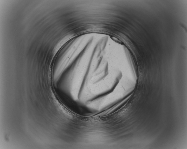 X0000100881050200807111337