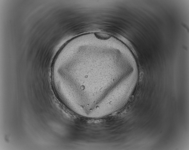 X0000100881051200807111337