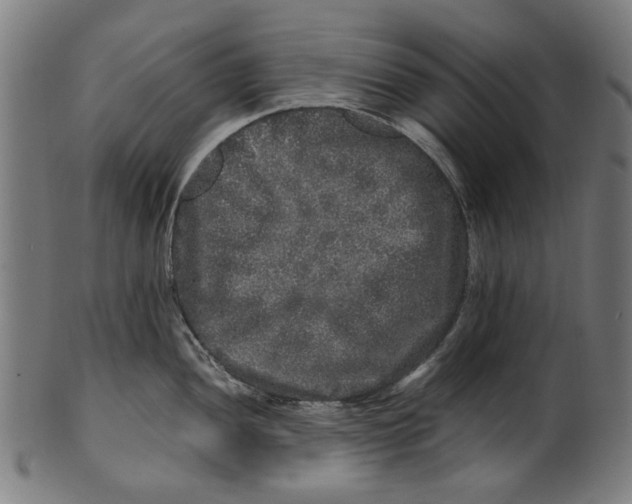 X0000100881052200807111337