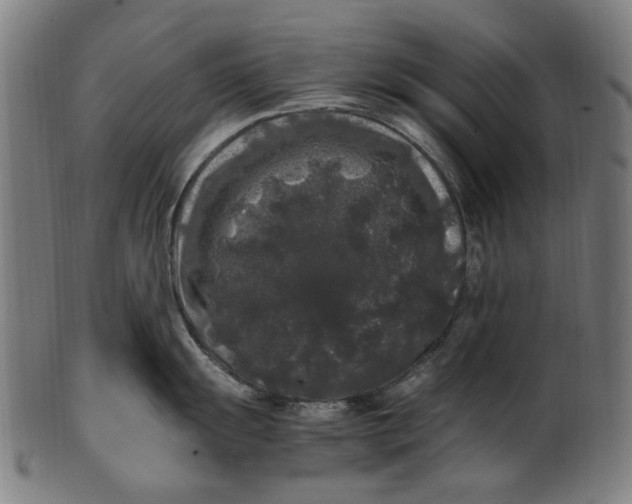 X0000100881055200807111337