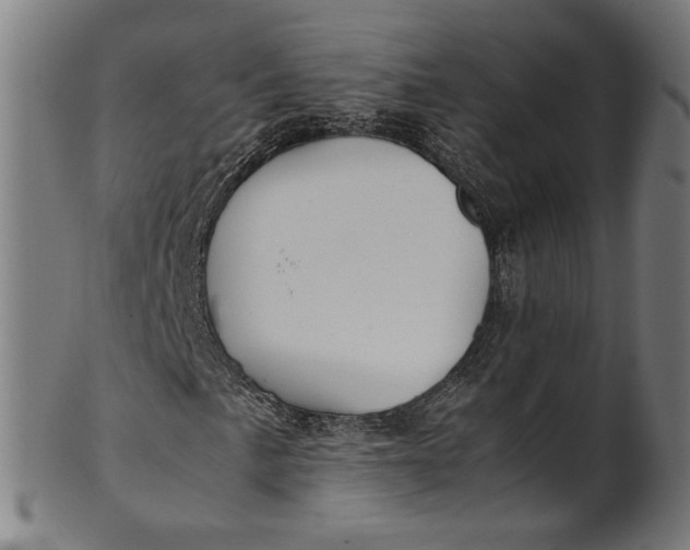 X0000100881057200807111336